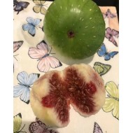 “Athinon” - 5 strong Fig Tree cuttings! “Athinon” - 5 strong Fig Tree cuttings!