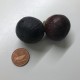 “Black Madeira KK” - 5 strong Fig Tree cuttings!