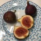 Bursa Black fig - 5 robust cuttings!