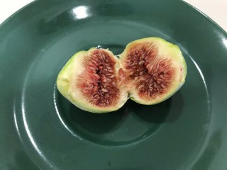 “Tsapelosyka” Figs - 5 strong Fig Tree cuttings!