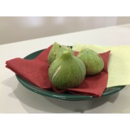 “Aspra Vasilika Syka” - 5 strong Fig Tree cuttings!