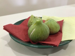 “Aspra Vasilika Syka” - 5 strong Fig Tree cuttings! “Aspra Vasilika Syka” - 5 strong Fig Tree cuttings!