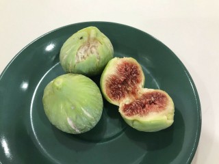 “Aspra Vasilika Syka” - 5 strong Fig Tree cuttings! “Aspra Vasilika Syka” - 5 strong Fig Tree cuttings!