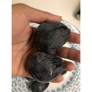 “Thrakis Mavra” Fig - Very Cold Hardy - 5 strong Fig Tree cuttings! “Thrakis Mavra” Fig - Very Cold Hardy - 5 strong Fig Tree cuttings!