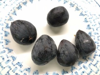 “Thrakis Mavra” Fig - Very Cold Hardy - 5 strong Fig Tree cuttings!