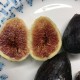 “Thrakis Mavra” Fig - Very Cold Hardy - 5 strong Fig Tree cuttings!